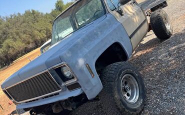 Gmc-chevy-1977-19