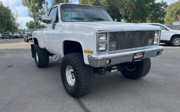 Gmc-ck-1500-4x4-1982-white-10