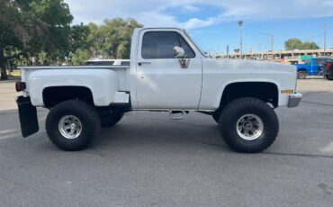 Gmc-ck-1500-4x4-1982-white-11
