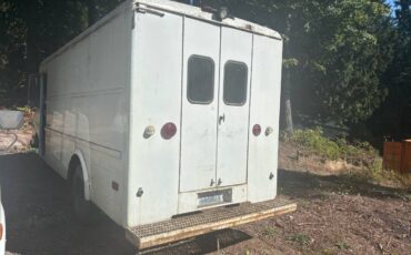 Gmc-p30-1974-white-3