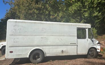 Gmc-p30-1974-white-4