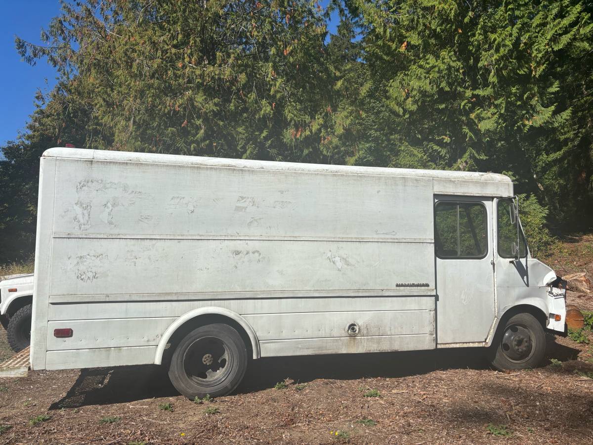 Gmc-p30-1974-white-4