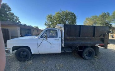 Gmc-r-conventional-1-ton-nominal-1989-white-2