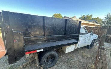 Gmc-r-conventional-1-ton-nominal-1989-white
