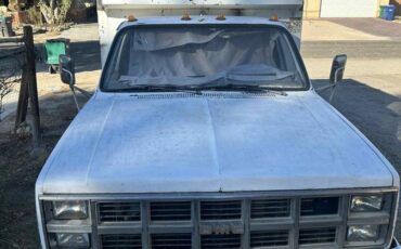 Gmc-r-conventional-1-ton-nominal-1989-white-5