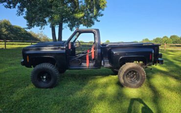Gmc-sierra-1500-1979-black-8