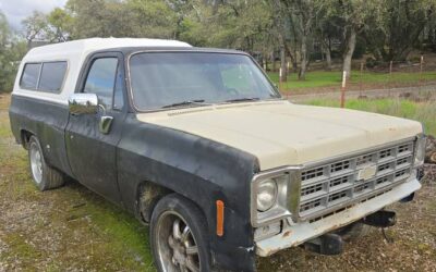 Gmc sierra 1500 1979