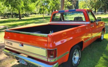 Gmc-sierra-1500-1983-orange-3