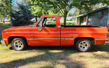 Gmc-sierra-1500-1983-orange-4