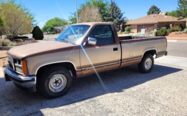 Gmc-sierra-1500-1989-brown-3