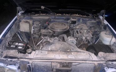 Gmc-sierra-1500-special-1994-blue-2