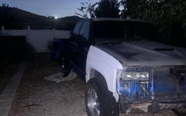 Gmc-sierra-1500-special-1994-blue
