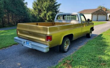 Gmc-sierra-1976-custom-2