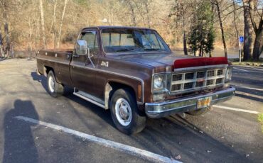 Gmc-sierra-2500hd-1978-brown-3