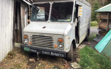Grumman-curbmaster-diesel-1982-grey-15