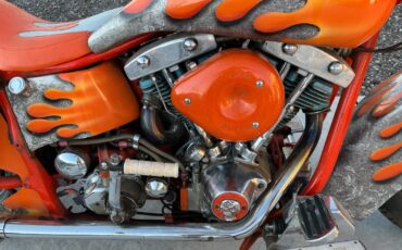 Harley-Davidson-Electra-Glide-1200-1972-3