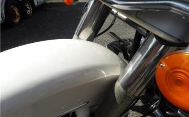 Harley-Davidson-FLHTP-1994-35