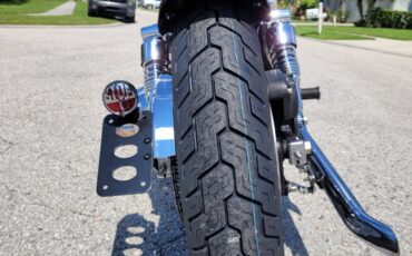 Harley-Davidson-FXE-Custom-1980-10