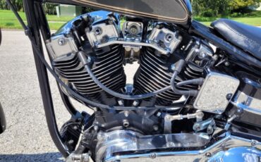 Harley-Davidson-FXE-Custom-1980-14