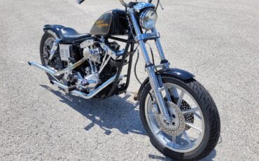 Harley-Davidson-FXE-Custom-1980-3