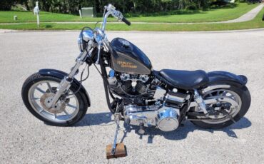 Harley-Davidson-FXE-Custom-1980-4