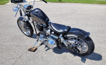 Harley-Davidson-FXE-Custom-1980-5