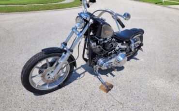 Harley-Davidson-FXE-Custom-1980-6