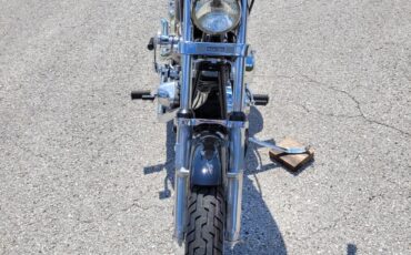 Harley-Davidson-FXE-Custom-1980-8