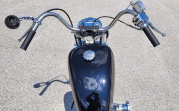 Harley-Davidson-FXE-Custom-1980-9