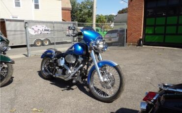 Harley-Davidson-FXSTC-1992-2