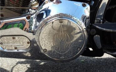 Harley-Davidson-FXSTC-1992-21