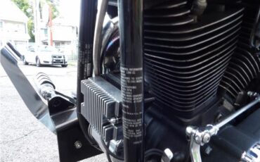 Harley-Davidson-FXSTC-SOFTAIL-1991-28