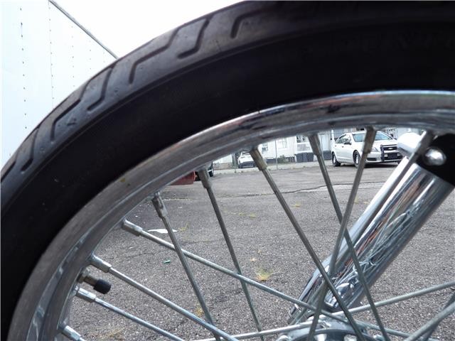 Harley-Davidson-FXSTC-SOFTAIL-1991-33