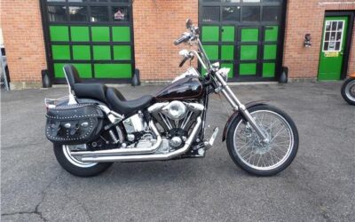 Harley-Davidson FXSTC SOFTAIL 1991 --