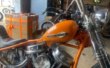 Harley-Davidson-Other-1951-10