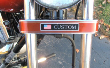 Harley-Davidson-Other-1985-7
