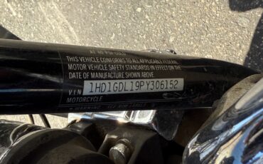 Harley-Davidson-Other-1993-13