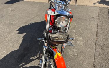 Harley-Davidson-Other-1993-15