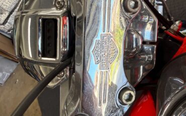 Harley-Davidson-Other-1993-6