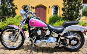 Harley-Davidson-Softail-1993-1