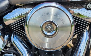 Harley-Davidson-Softail-1993-13