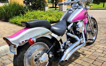 Harley-Davidson-Softail-1993-4