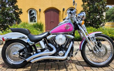 Harley-Davidson Softail 1993