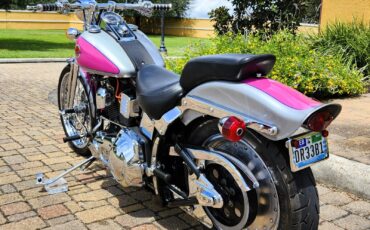 Harley-Davidson-Softail-1993-5