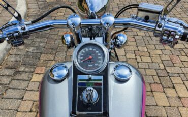 Harley-Davidson-Softail-1993-8