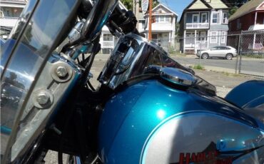 Harley-Davidson-Softail-1995-32