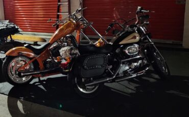 Harley-Davidson-Sportster-1994-2