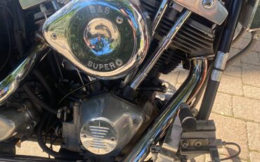 Harley-Davidson-lowrider-1982-1