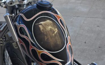 Harley-davidson-Flh-electra-glide-1972-10