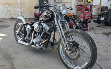 Harley-davidson-Flh-electra-glide-1972-17